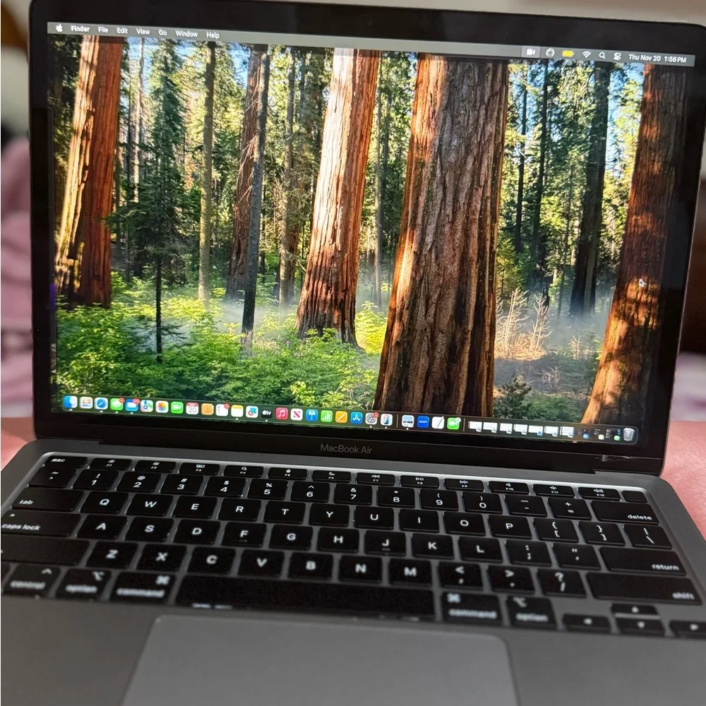 Apple Laptop - Dark Gray Finish